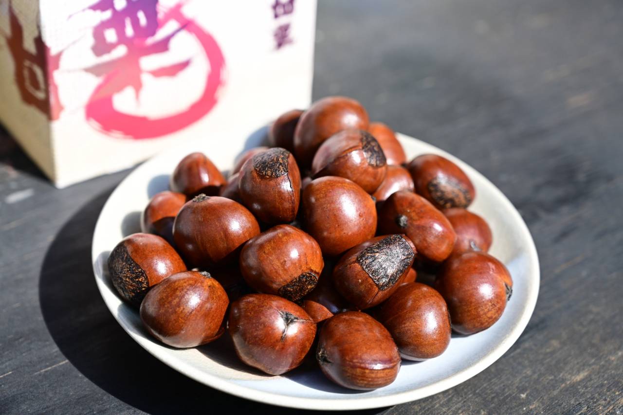 ギフト | 甘栗の通販なら一粒庵いしい